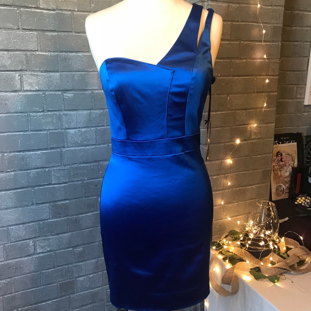 Tara Subkoff for Bebe collection dress